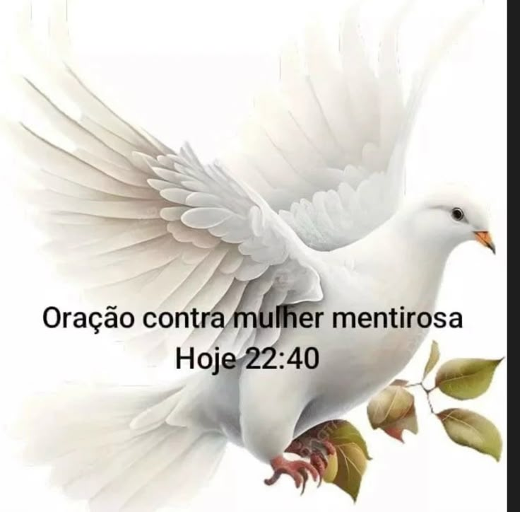 odeiootaco's tweet photo. https://t.co/eo4eF75Uiy