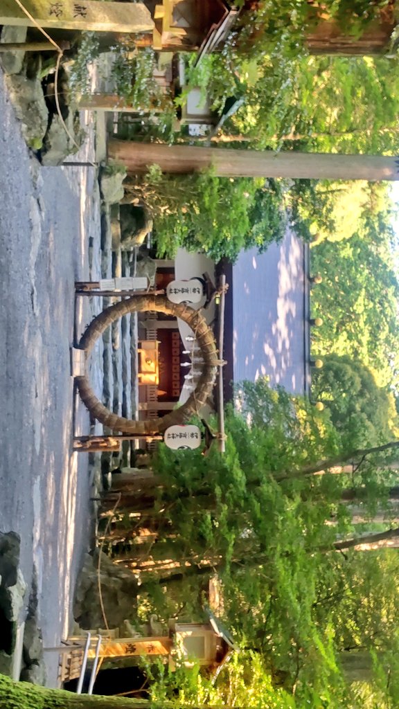 kei_Sun105's tweet photo. 今日は鈴鹿の椿大神社へ参拝に✨
茅の輪の設置期間が7月上旬となっていたので、ひょっとするともう撤去されているかも…と期待しないで行ったらまだありました～😄✨
上半期の穢れを祓って大満足♪
おみくじと御守りを授かり今回も良い参拝になりました✨
#椿大神社 https://t.co/tG1fmDGh94