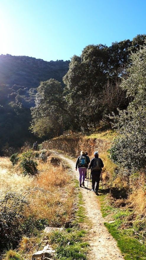 Senderosalmeria's tweet photo. El sendero de la Piedra Encantada en Laroya es un tesoro escondido en la Sierra de los Filabres, un tramo corto y muy cuidado que forma parte del PR-A 366 (Los Molinos de Laroya). Discurre por un estrecho valle formado por el río Laroya, con abundante vegetación. Almería. https://t.co/Br1QA9FBwZ