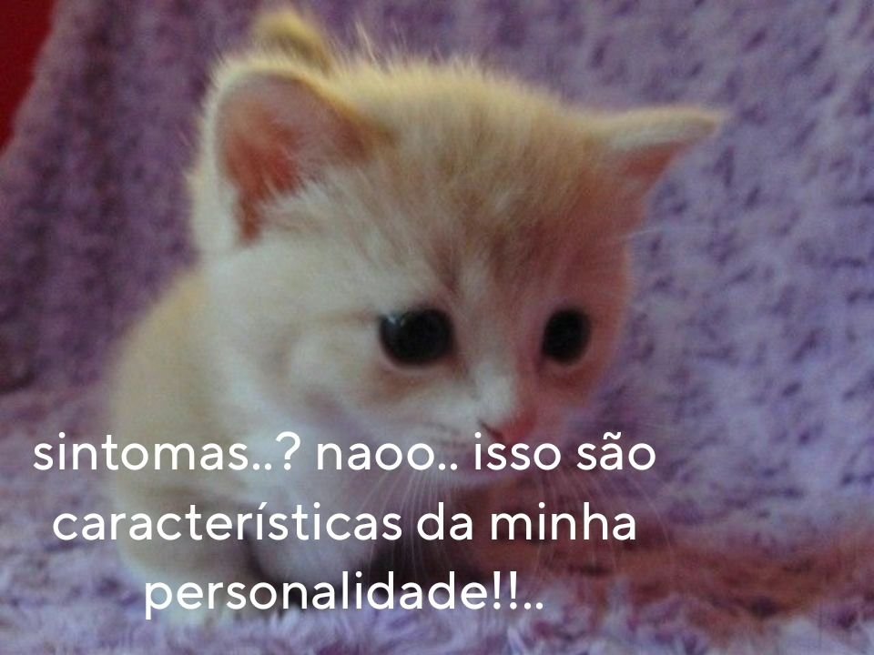 odeiootaco's tweet photo. https://t.co/3YBxQb0Exb