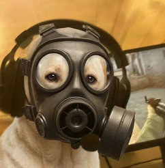 GovaTrades's tweet photo. woke up and i think i found the runner of the day 

$GASMASK https://t.co/c0FoA7mqEY