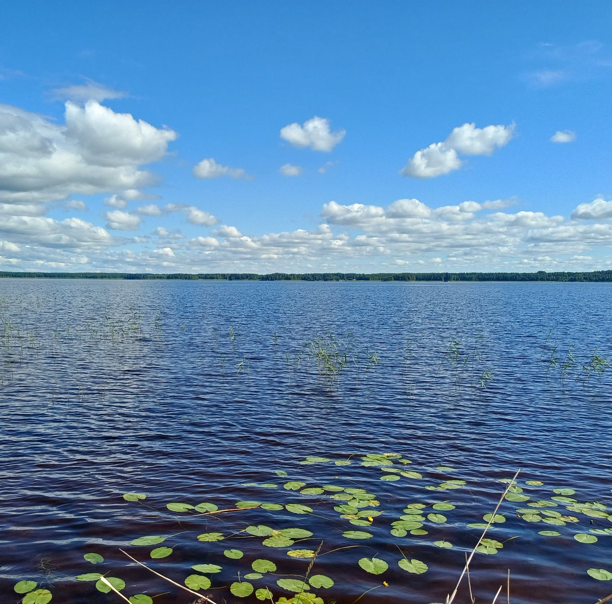 pullearusina's tweet photo. Olen etsinyt Sebastian Kneippin kirjaa vesihoidoista. Alkuperäinen suomennos on vuodelta 1895, eikä uutta painosta ole, vaikka saksaksi ja englanniksi uusia painoksia riittää. Suomeksi julkaistaan kyllä turhempaakin höpinää 🤔 https://t.co/hDF1BzHbpR
