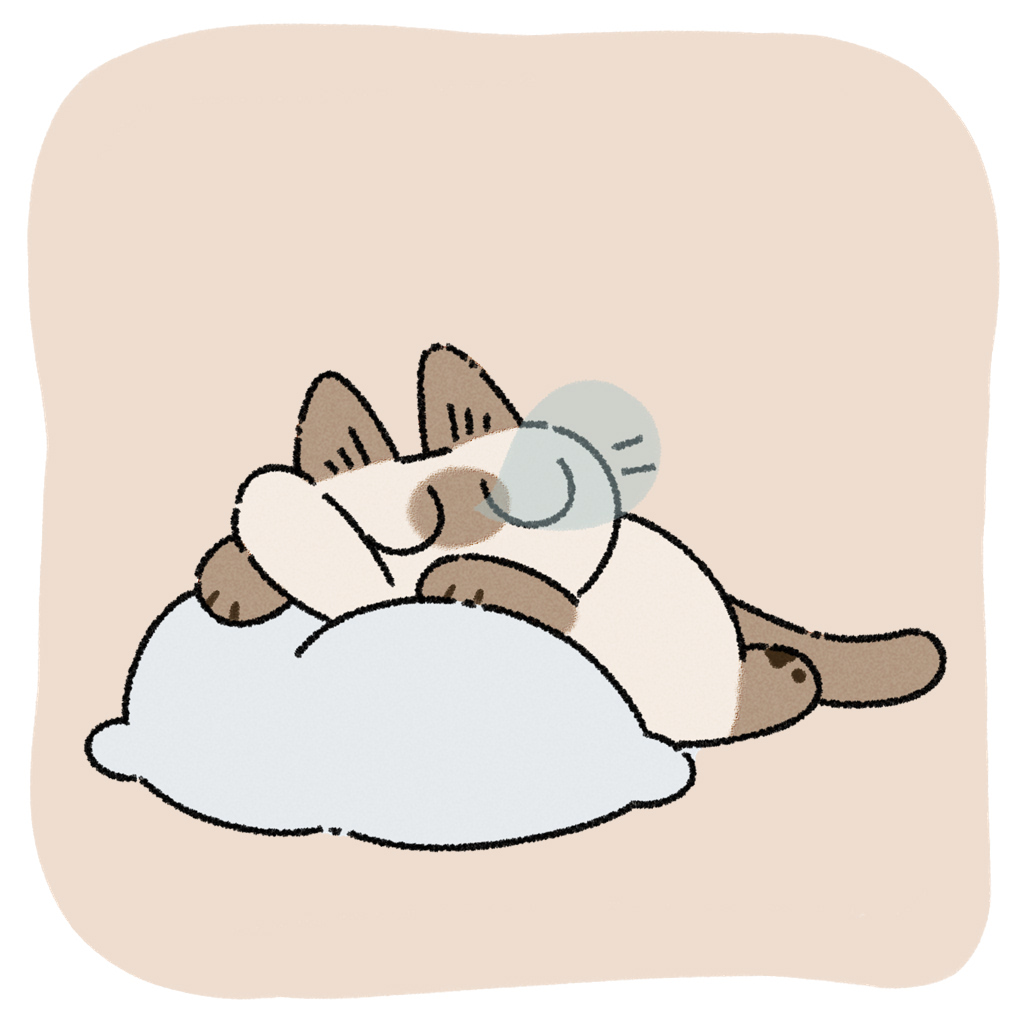 のべ子とシャム猫あずきさん tweet media