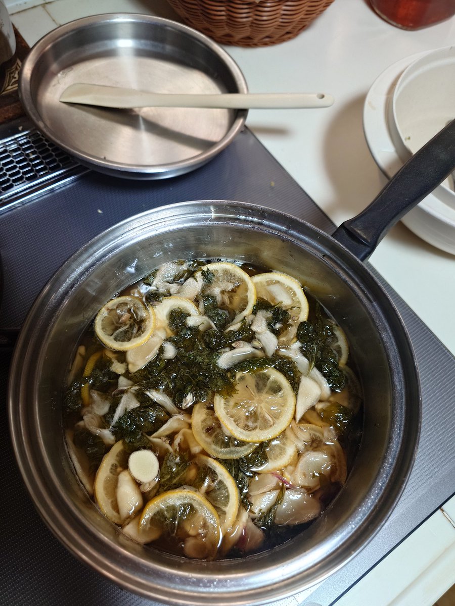 Hexe_k's tweet photo. 庭の青ジソが虫との争奪戦になってきたのでｗ　刈り込んで青ジソシロップ作るなう。で、今夜はニョキニョキ生えだしたミョウガのおすまし作ろう。
夏だねえ〜。良いねえ〜(^^) https://t.co/9B29yfwspc