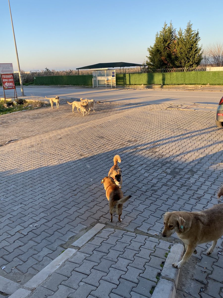 kenvntt's tweet photo. @bpthaber kalan %12 de @menemenbelediye ‘sinde herhalde. Güncel olarak cevapları da 2028 e kadar süremiz var bağlamında. https://t.co/ONrQkUMDuU