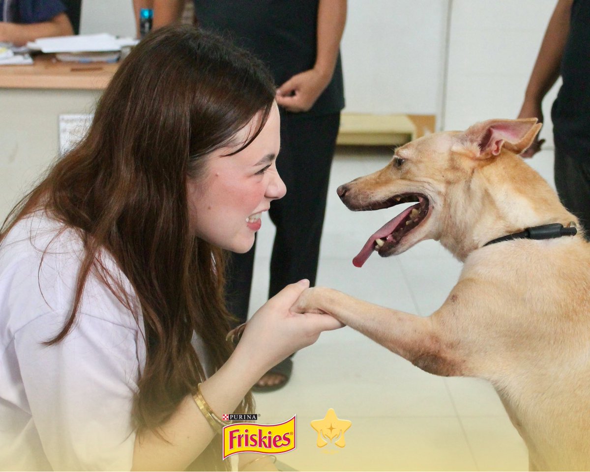 TalaGives_'s tweet photo. Tala bonding time with emotional support dogs. 🤍

There’s something so special about the way animals know where love is. Watching Tala spend time with the shelter dogs was one of the most heartwarming moments of the day—they greeted her with wagging tails, stayed close by her side, and happily soaked up every bit of affection she gave.

TALAGIVES FURever LOVED
#ThankyouKrystariXPurina