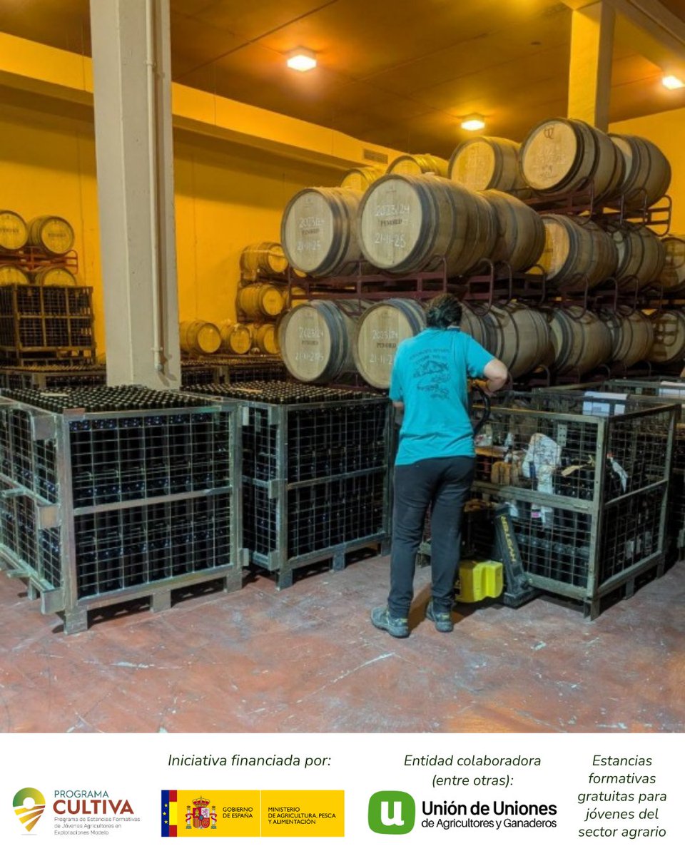 UniondeUniones's tweet photo. 🌱Nueva estancia del #ProgramaCULTIVA en #PesqueraDeDuero (#Valladolid) en una explotación vitivinícola de la D.O. #RiberaDelDuero

Ramón Oliva participa en una formación práctica sobre producción ecológica y elaboración de vino

https://t.co/F2Ke6um4aH

@gobmapa #IntercambioAgro https://t.co/3BfzUBx7wq
