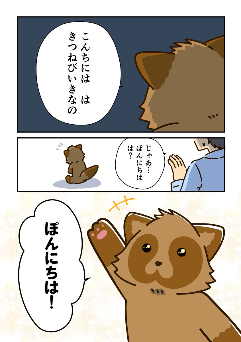 summercomcom's tweet photo. ぽんにちは https://t.co/SITsex7Sno