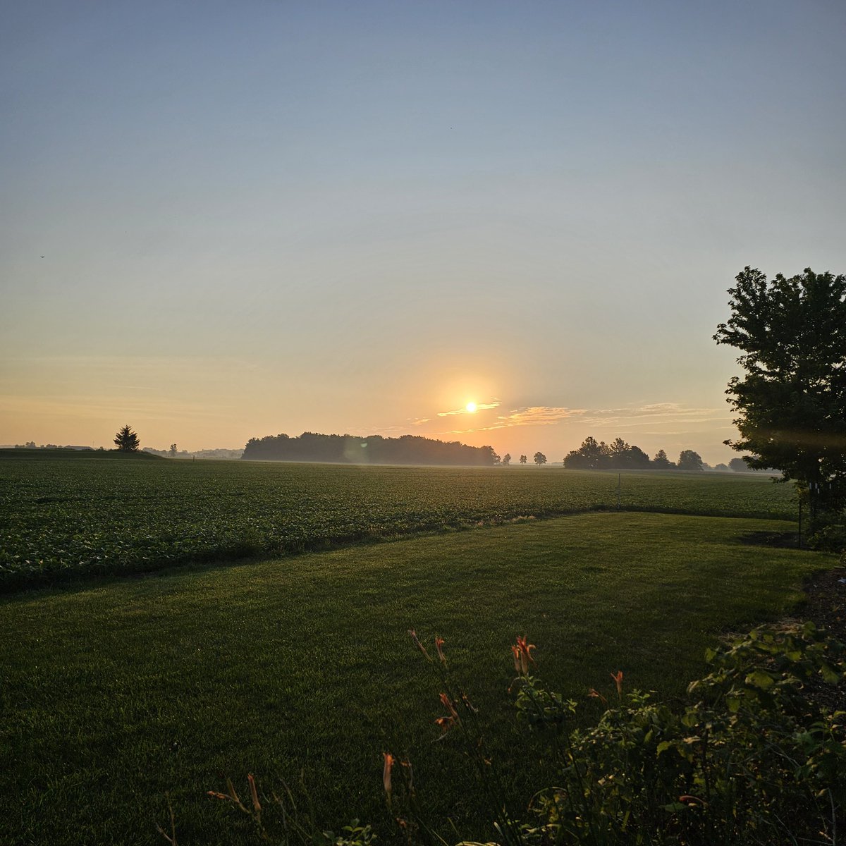 JoeMelajoe65's tweet photo. Great morning to you from the Northeast Indiana countryside!! USA!! Have a great one!! Be safe out there!! #USA250 #AMERICANJOE ๐๐ฏ๐บ๐ธ๐บ๐ธ๐บ๐ธ๐บ๐ธ https://t.co/2k2l4ztIh4