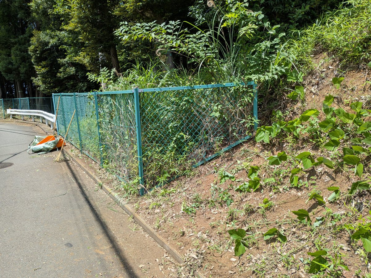 MihoForest's tweet photo. 本日の作業は２班に分かれて、こちらは団地敷地からバス通りを挟んだ西側の一番南にある保存緑地F-1

道路沿いのフェンスに草がかなり絡まってしまいましたので、ほとんど手作業で草刈り、剪定、ビフォーアフターその１ https://t.co/5TiK4uOKfp