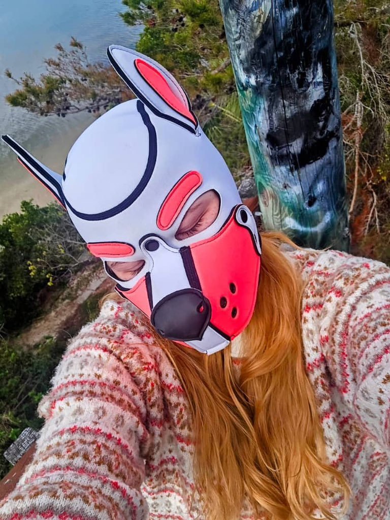 EAtang8967's tweet photo. Available kinky content  #NewProfilePic dog love are rare  #LinkInBio #OnlyFansPromo #zoophilia #zoosarevalid #beastiality #dogknot #zooprideisvalid #zoophile #antizoo #zoopride #zoophilepride #Bestiality 
#nsfw #buyingcontent  
Text me on telegram @ https://t.co/2lvZYjUndZ https://t.co/T8nTXNa8fW