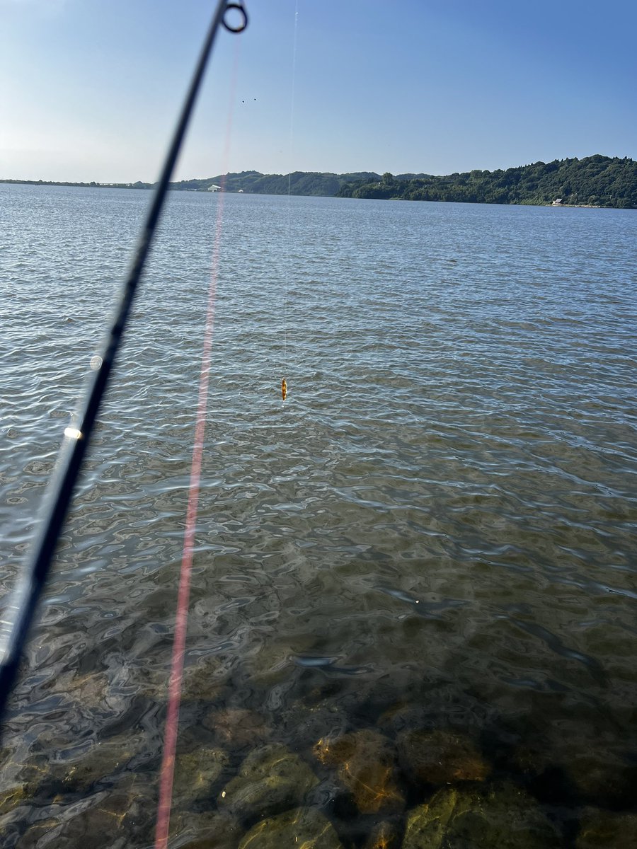 primetime1122's tweet photo. 今日も1日お疲れ様でした🎣久しぶりの外仕事は思いのほかそんなにハードではなかった😁そして休憩は水分補給とご飯を食べる時間だけ😅電気屋さんが個人事業主なので納得、その代わり16時には現場終了👷‍♂️ https://t.co/ui9wl6ClCq