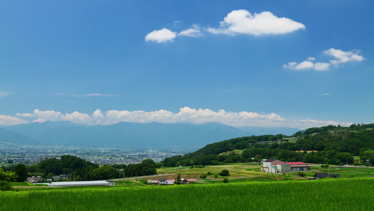 Tokumu31's tweet photo. サイクリングしてた　真夏の風景を満喫しながら https://t.co/NfrL8iGlYi