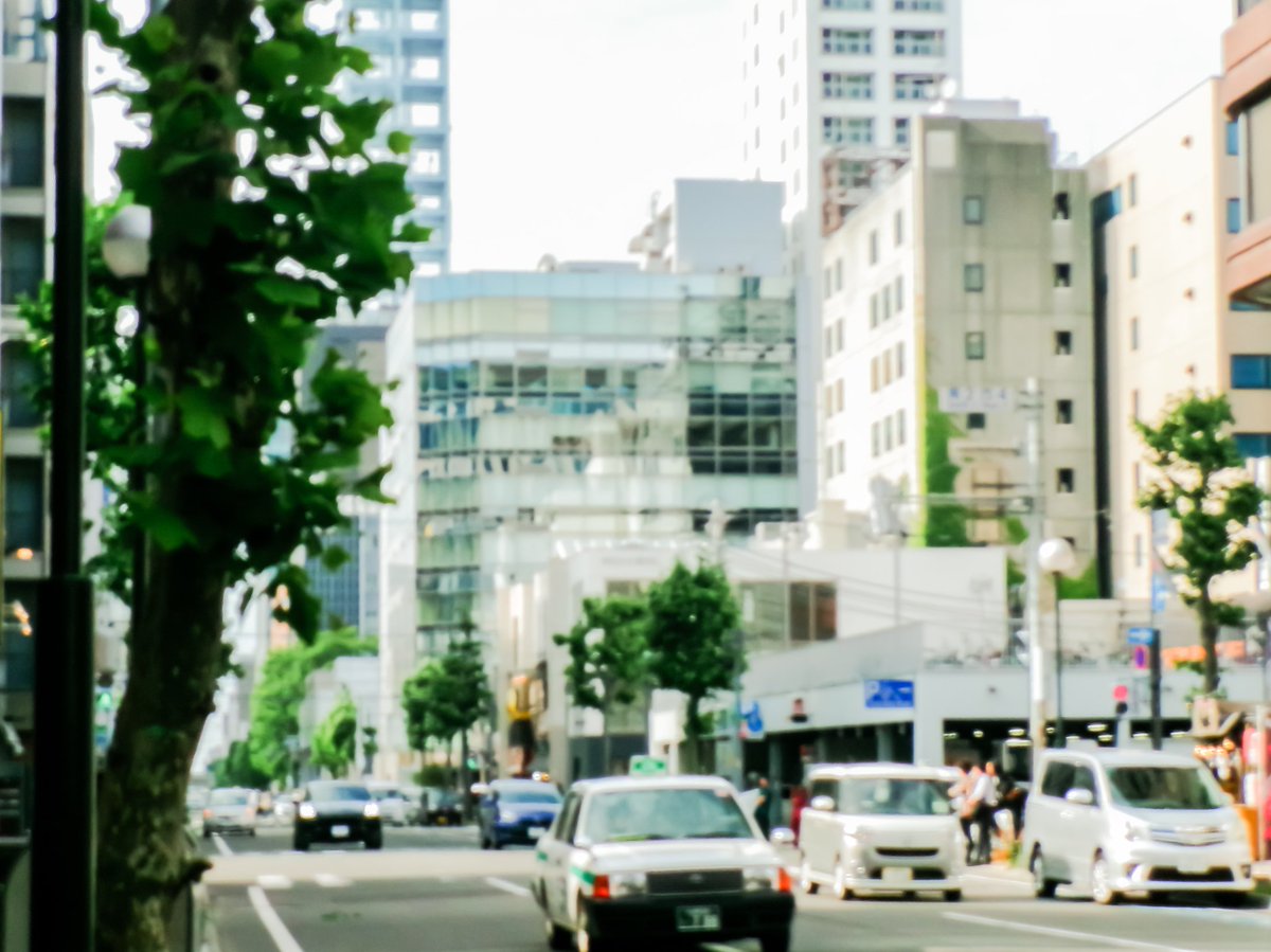 uguispic's tweet photo. ピンボケ集 https://t.co/q4eDVWRPdi