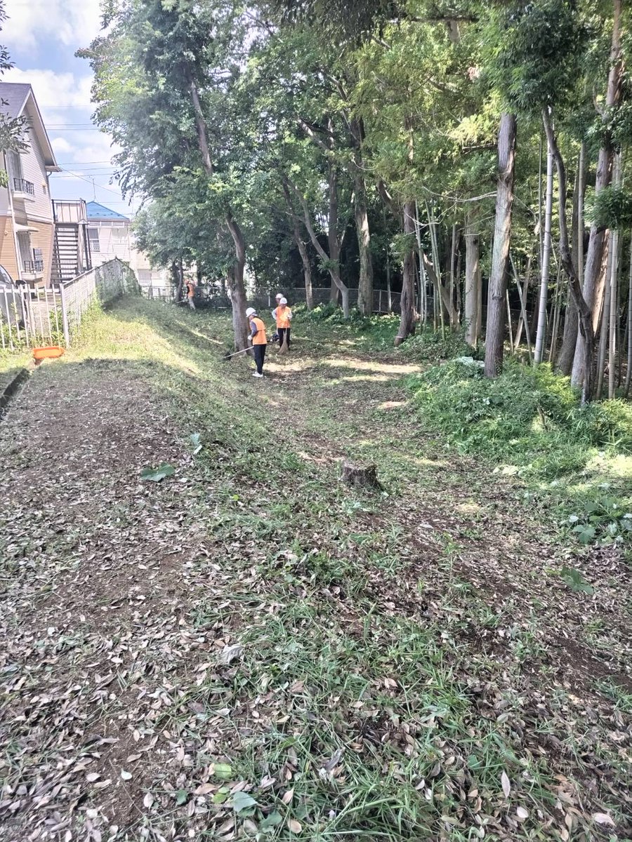 MihoForest's tweet photo. フォレストヒルズ三保　団地敷地北東の保存緑地F-３の端　ここにわずかな平地があり、今年はブルーベリー🫐の苗を植えたいと目論んでいます。

まずは草刈り　アフター https://t.co/acQcp14M8w