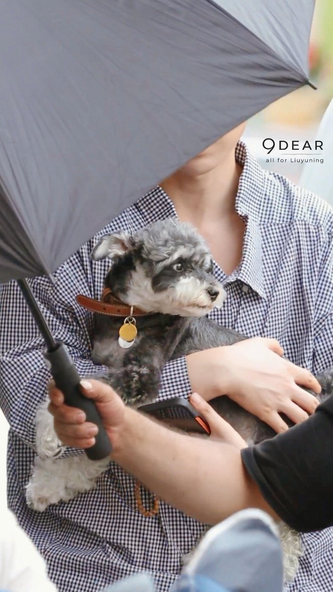 zclclub's tweet photo. 여밍씽 진짜 귀여워서 미치겟네 졸귀통 온다...ㅜㅜ https://t.co/ODvQD2quCb