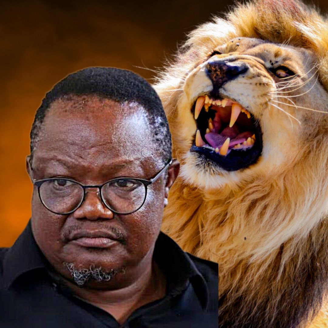 FrankMtey's tweet photo. @TunduALissu The Lion 🦁🦁 https://t.co/iJPYgbdVLY