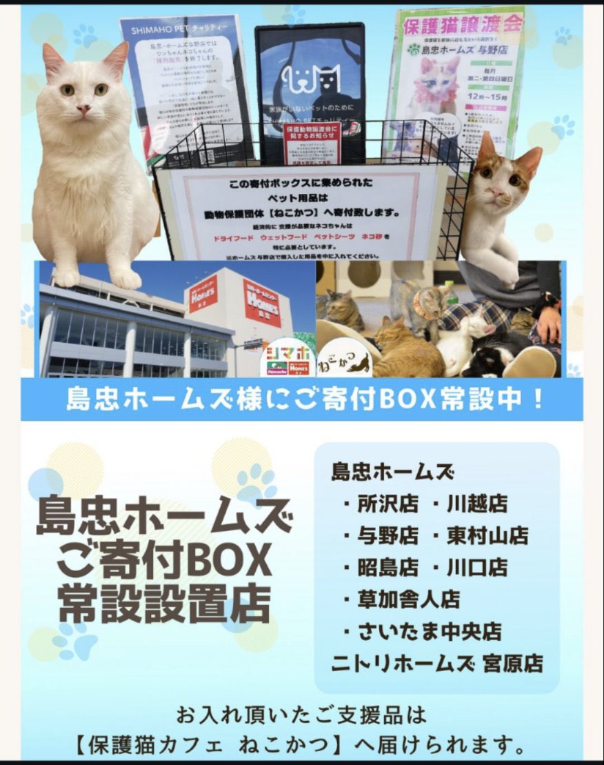 nekokatsu_1's tweet photo. 🐾子猫用フードご支援のお願いです🐾

いつもねこかつの活動を応援して下さり、ありがとうございます。

子猫の保護が続き、現在100頭近く保護しております。

そのため、子猫用フード（ウエット、ドライ）が不足しています。

無理のない範囲でご協力いただけましたら幸いです。

★Amazon ほしい物リスト
https://t.co/LXVTGOHPEY

★島忠ホームズ様、ステラタウン大宮様にてご寄付 BOXを常設いただいております。

★川越店、大宮日進店の店舗でも受け付けています。

どうぞよろしくお願いいたします🍀

#ねこかつ #保護猫カフェ #里親募集中 ＃ご支援お願いします
