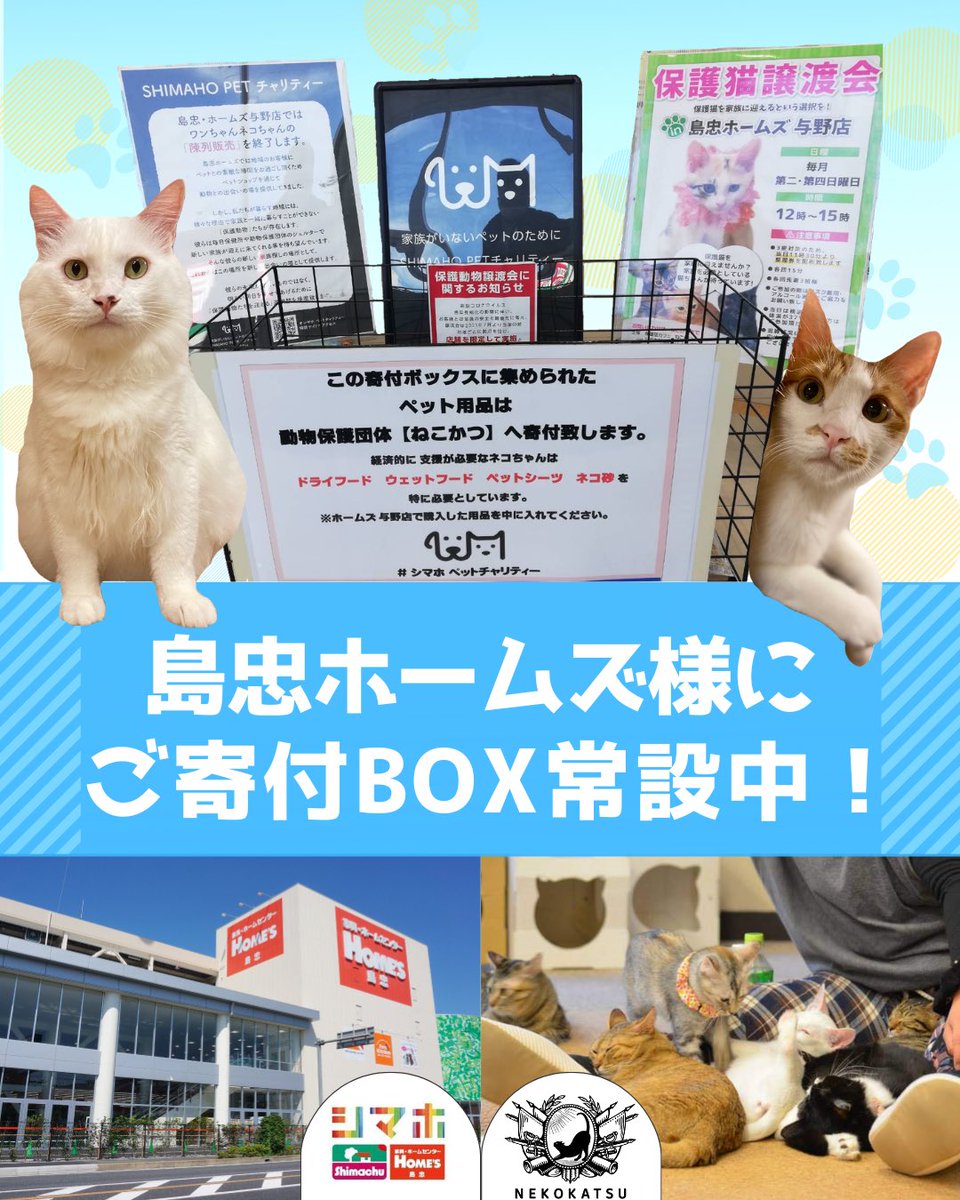 nekokatsu_1's tweet photo. 🐾子猫用フードご支援のお願いです🐾

いつもねこかつの活動を応援して下さり、ありがとうございます。

子猫の保護が続き、現在100頭近く保護しております。

そのため、子猫用フード（ウエット、ドライ）が不足しています。

無理のない範囲でご協力いただけましたら幸いです。

★Amazon ほしい物リスト
https://t.co/LXVTGOHPEY

★島忠ホームズ様、ステラタウン大宮様にてご寄付 BOXを常設いただいております。

★川越店、大宮日進店の店舗でも受け付けています。

どうぞよろしくお願いいたします🍀

#ねこかつ #保護猫カフェ #里親募集中 ＃ご支援お願いします