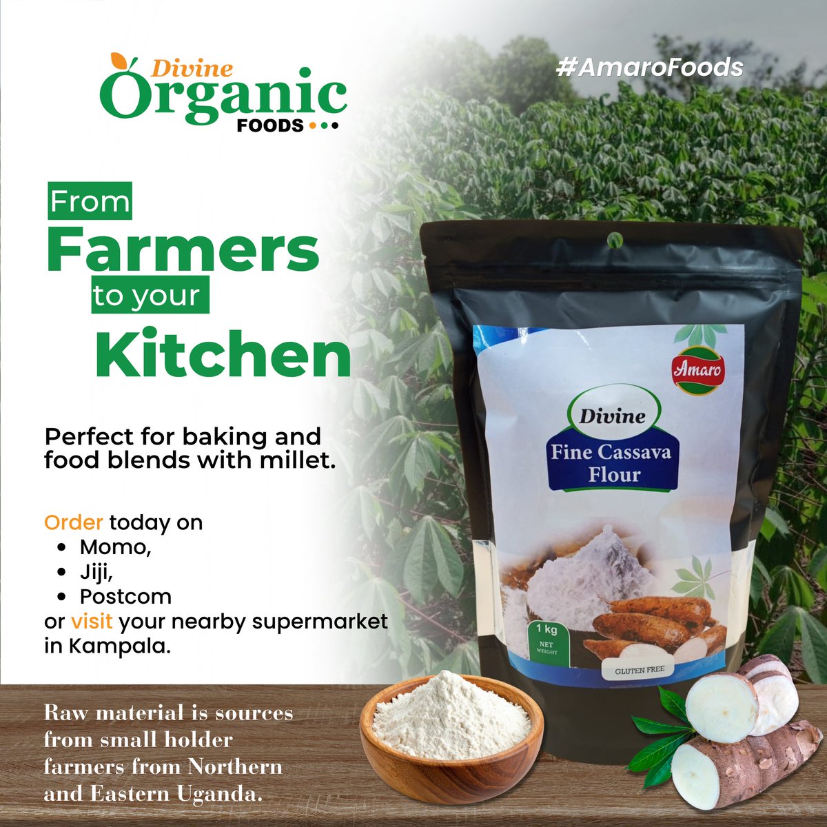 DivineOrganicUg's tweet photo. Healthy choices, stronger communities, and a touch of organic goodness. 

Let’s keep growing together with Divine Organic Foods. 

#AmaroFoods
#MothersLove
#HealthyInEveryTaste https://t.co/nq6VpZeCX8