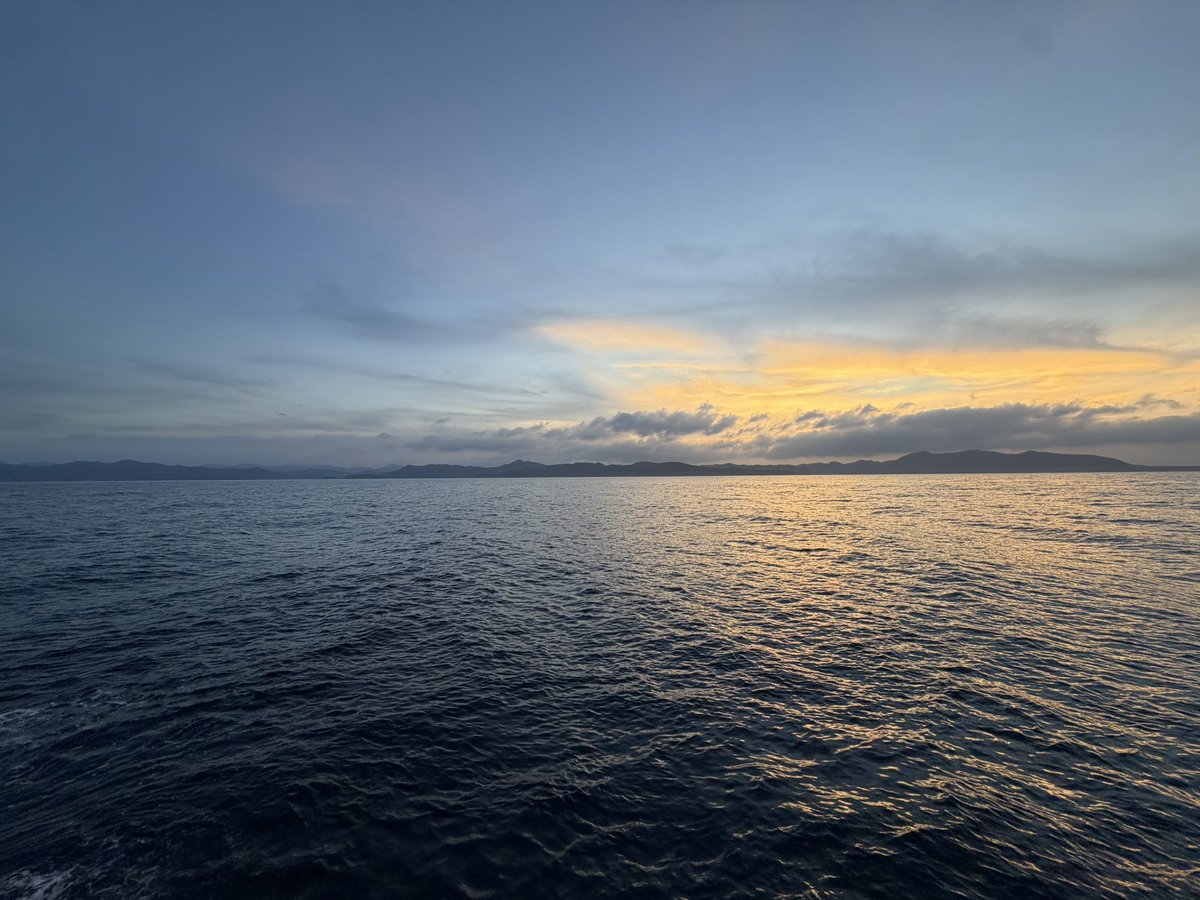 env_reprod's tweet photo. 今週は乗船チビイカ採集調査でした⛴️残念ながらチビイカは獲れなかったけど、美しい海と美味しいご飯で最高の航海でした！#長崎大学 #鶴洋丸 #いか #対馬 https://t.co/XJnO49Tffv