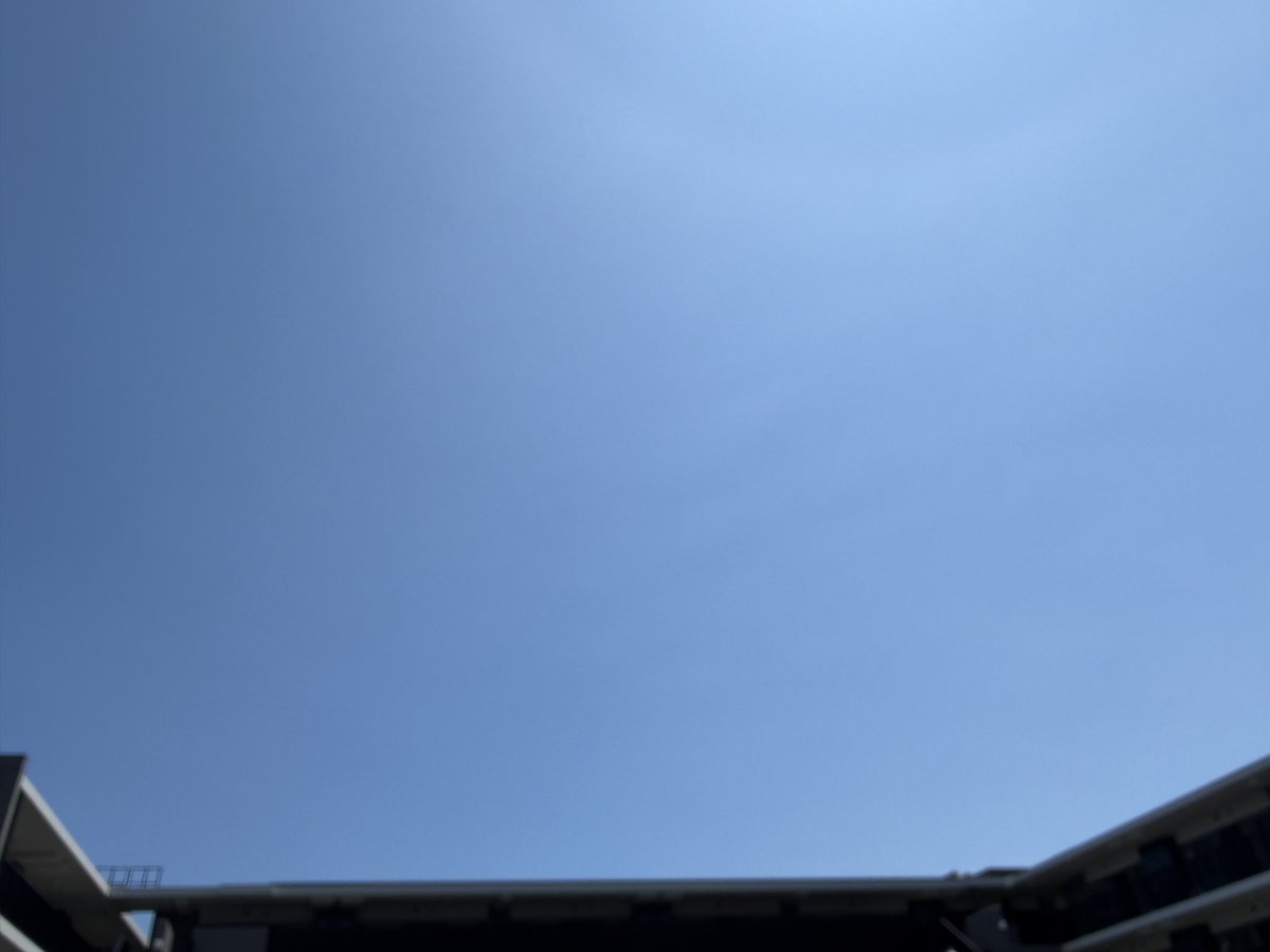 YASUKONOZOKI's tweet photo. 関東地方  #梅雨明けまだですか？
#青空
#アガパンサス ようやく1人前に沢山
🌻は 買ったのを植えたら 綺麗に花開いたよ😍 https://t.co/udTQo00Bsb