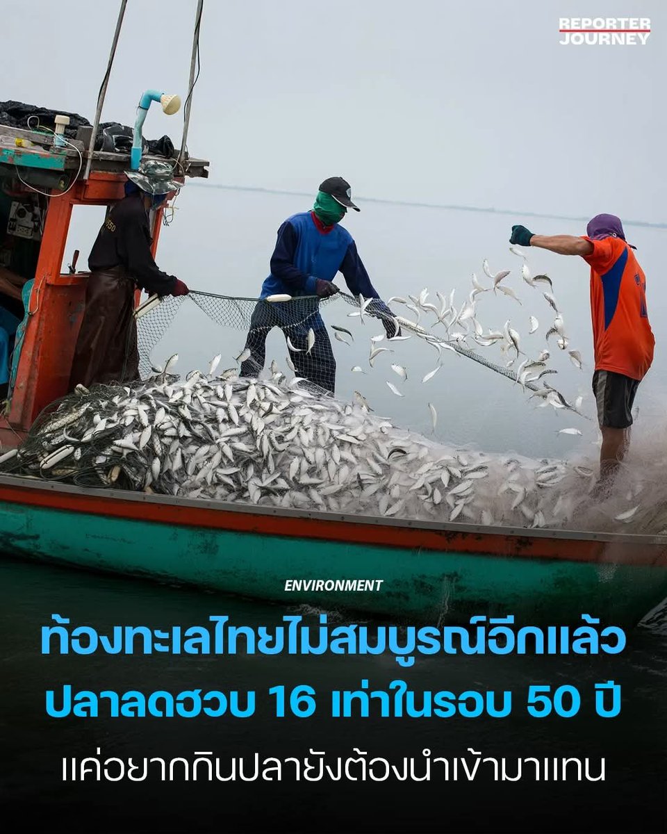 GoodniceC's tweet photo. เหลืออะไรบ้าง https://t.co/0bihog06fu