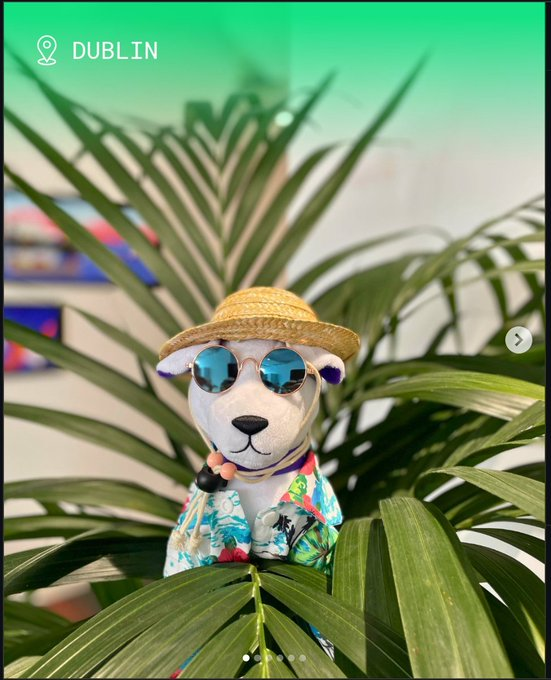 Roger tweet media