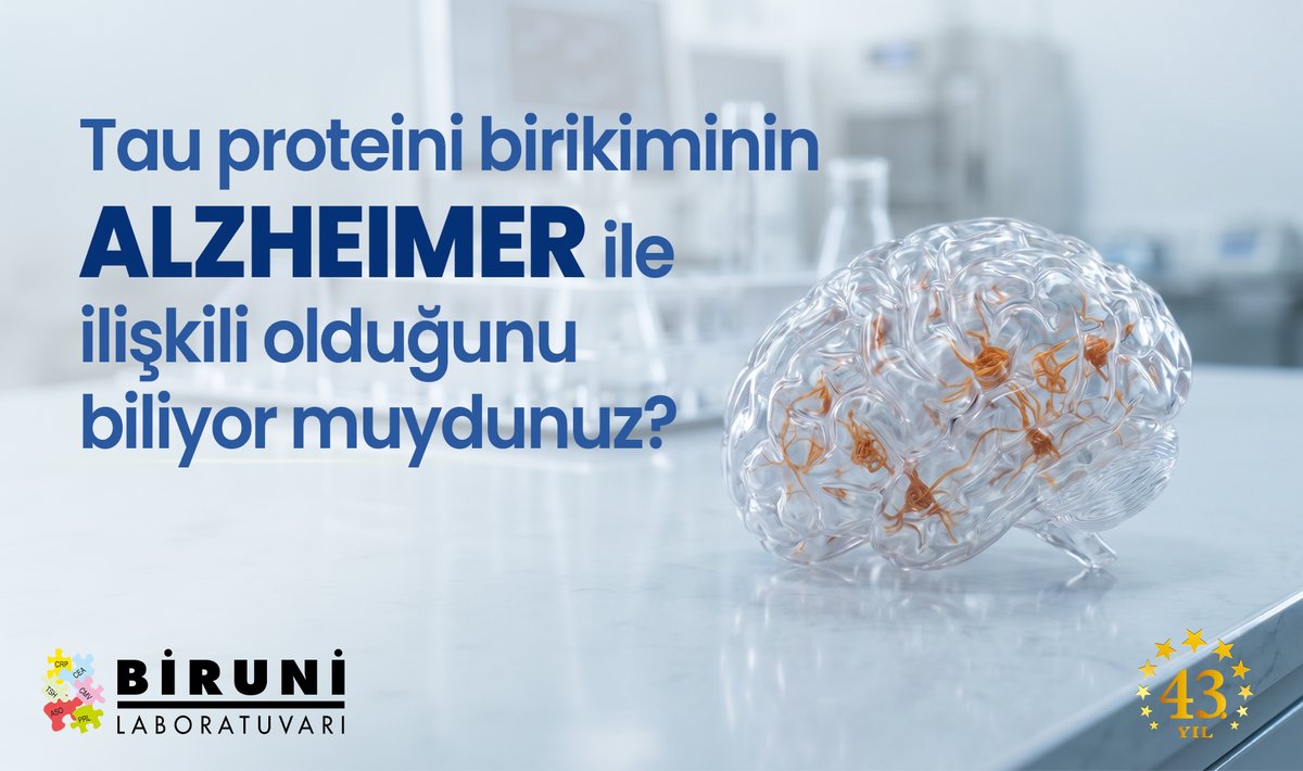 BiruniLab's tweet photo. Tau proteinleri, nöronların yapısal bütünlüğünün korunmasında önemli rol oynayan proteinler arasında yer almaktadır. https://t.co/mqt1SHxHe4