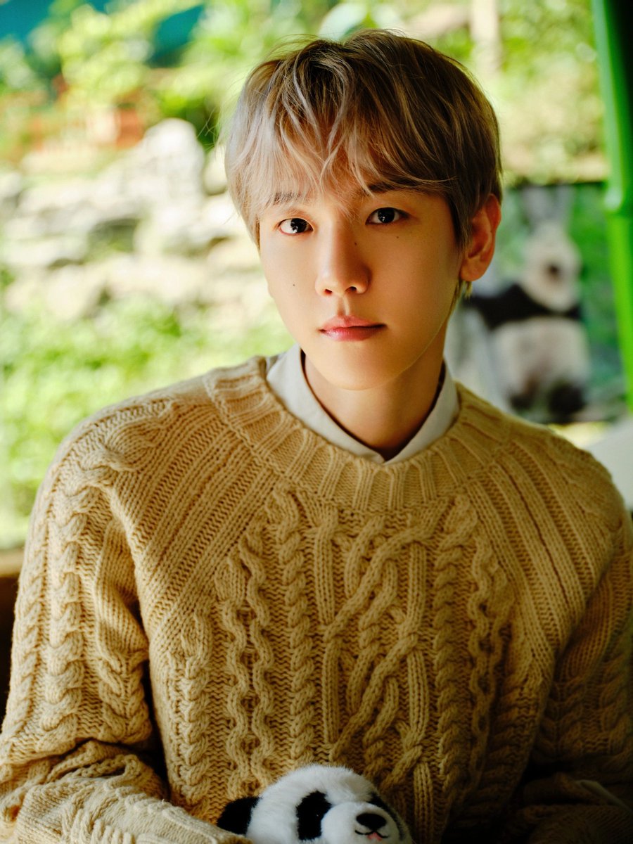 knockknock0408's tweet photo. BAEKHYUN - 果麦图书推荐官 xhs https://t.co/7a4znvuUGe