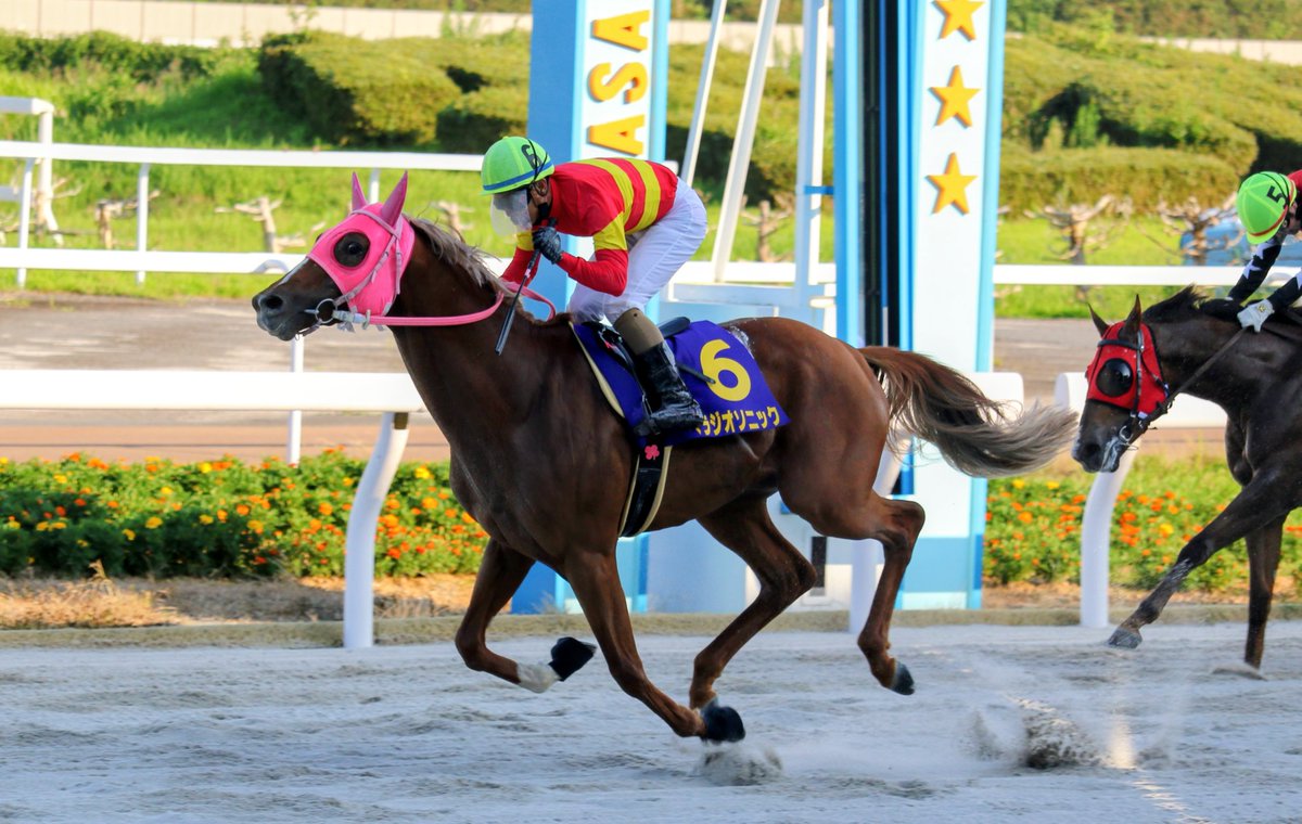 gambacity's tweet photo. 笠松競馬場で行われた
「ぎふ清流カップ」
優勝したのは
兵庫所属のベラジオソニック
関係者の皆様、おめでとうございます！！ https://t.co/H3q58VSO19