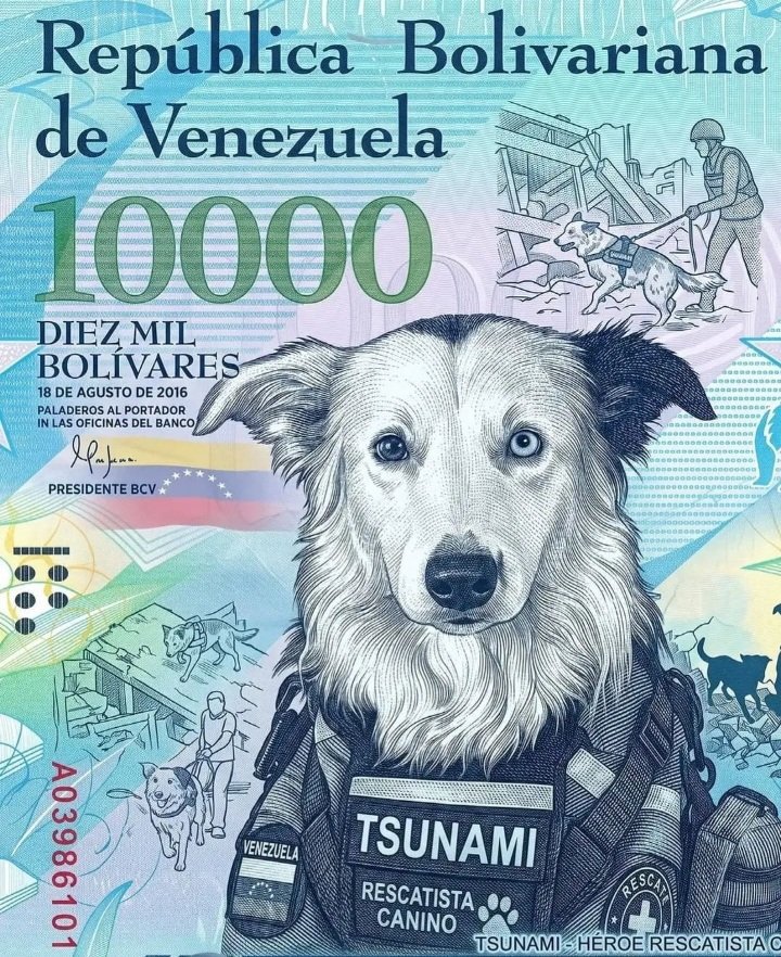 Basuka32804615's tweet photo. @jaimemaussan1 $tsunami https://t.co/xOpLbfVwm7