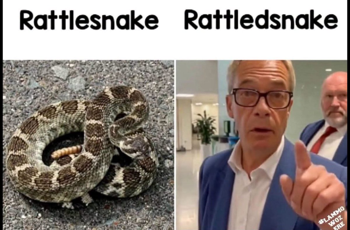 rayblundel's tweet photo. @OperaSocialist โฆ.and ofc the Tory defecators should have stood for election to their new Fuhrer, when they would have probably lost.
#Deformuk
#FarageRiots https://t.co/eeN499pdJ0
