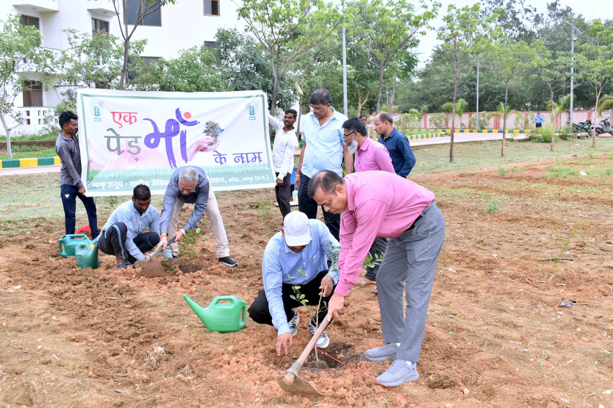 icarnibsm's tweet photo. A plantation programme was organised at ICAR-National Institute of Biotic Stress Management (ICAR-NIBSM), Raipur, under the nationwide "Ek Ped Maa Ke Naam" campaign. https://t.co/Z82sUFgNEm