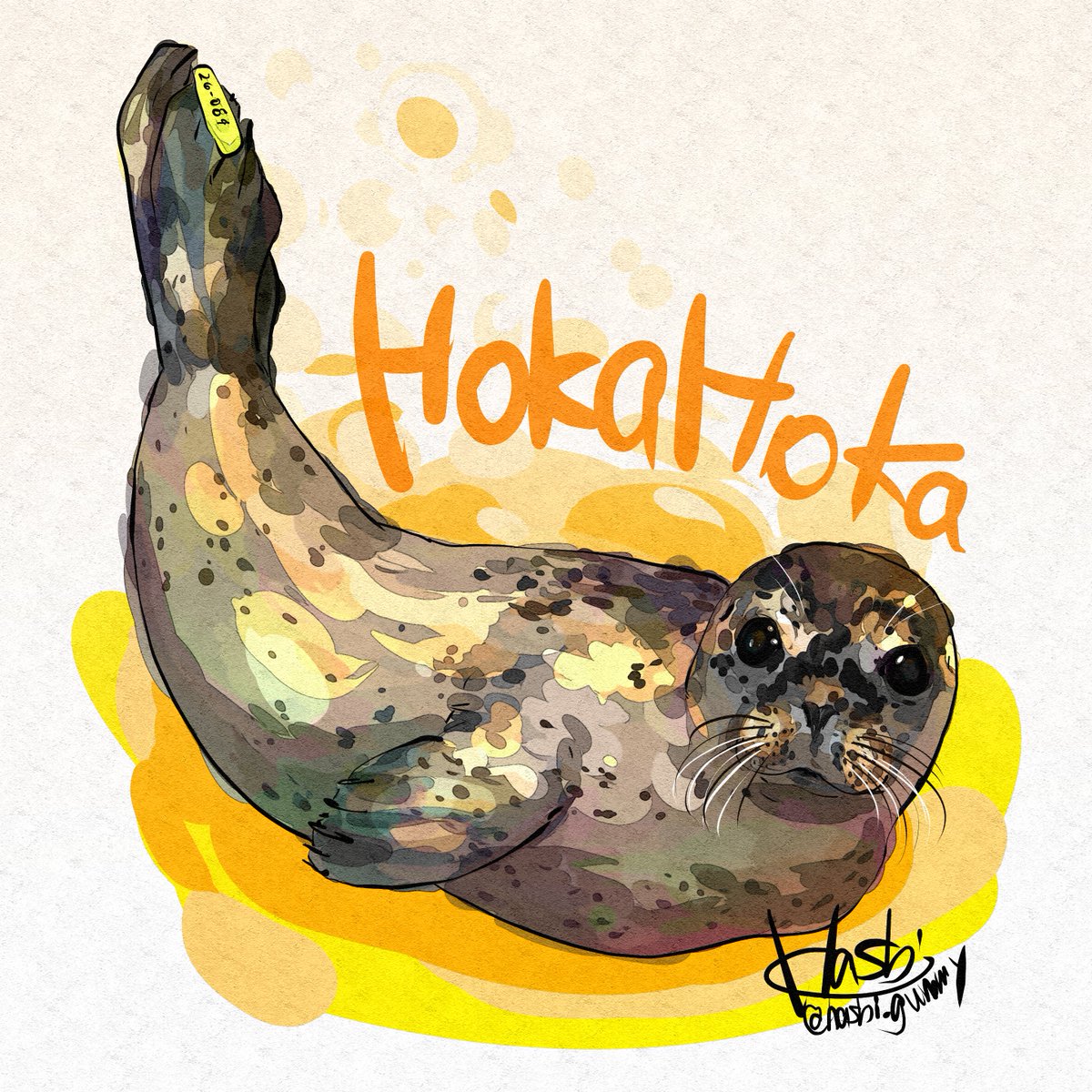 あざら猫 (@Y_azara_seal) / Posts / X