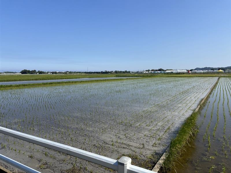 afs_0201's tweet photo. この間、電車に乗って千葉まで海を見に行ってきました🚃🌊

これといって理由があったわけじゃないんですが…😂

以前、社長が海に行った時の写真を見せてくれて
「たまには海もいいなぁ😊」と思って、ふらっと行ってみました✨
当日は天気も良くて、
サーフィンを楽しんでいる方もたくさん🏄🌊

波の音を聞きながらぼーっとしているだけで、
すごくリフレッシュできました😌✨
たまには電車に揺られて目的地だけ決めて
出かける休日もいいですね😊🚃

#AFSのOFFショット
#千葉
#海
#休日
#リフレッシュ
#電車旅