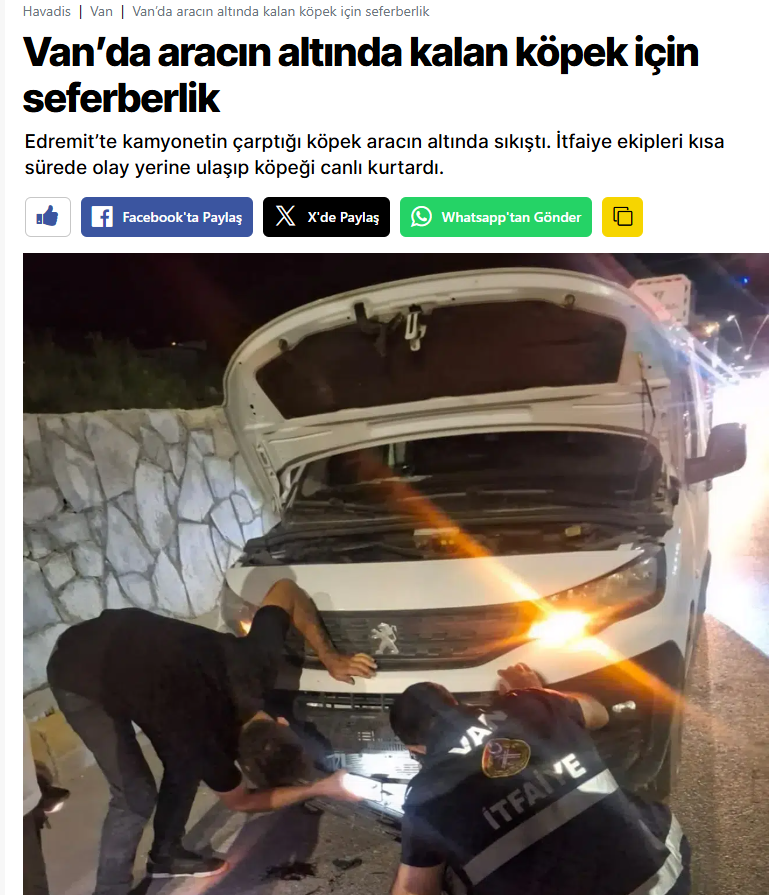DailyDogAttack's tweet photo. Van'da başıboş bir köpek araç altında kaldı 
https://t.co/I43f2qiDyd
@UABakanligi @TC_icisleri @tcvanvaliligi @vanbuyuksehirbb https://t.co/yc11UEBt5Q
