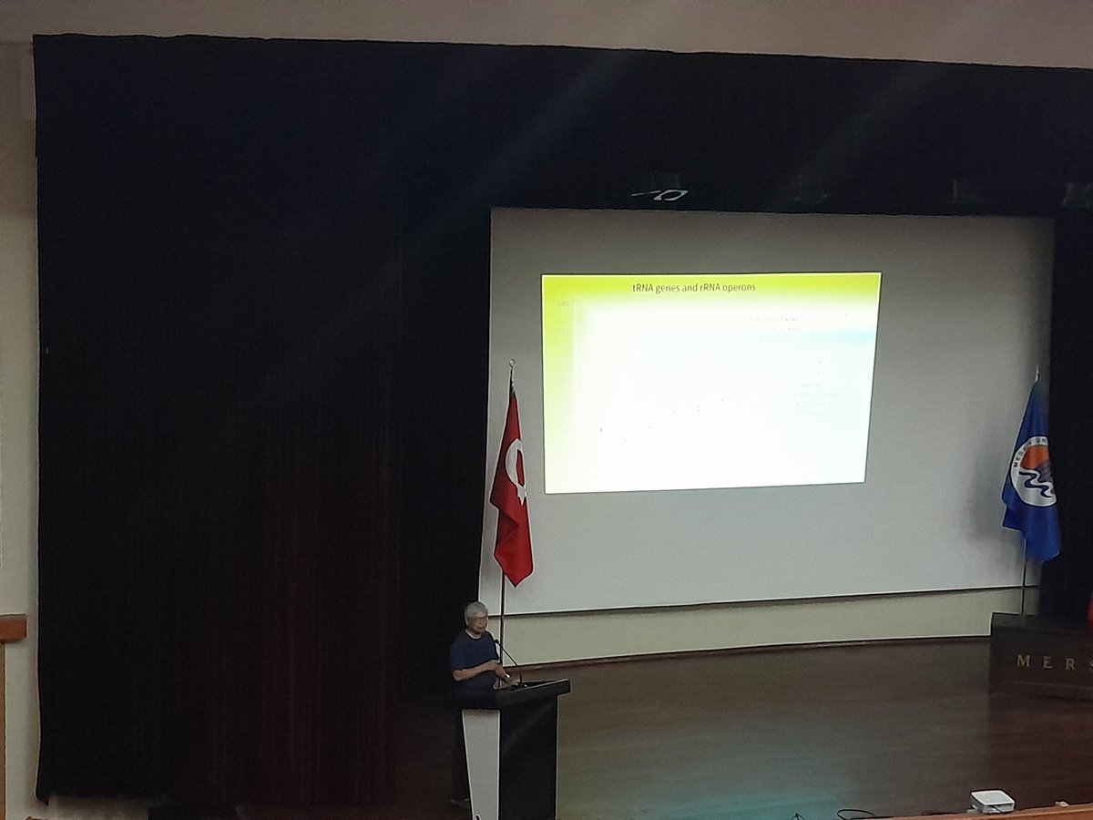 EkoEvo tweet media
