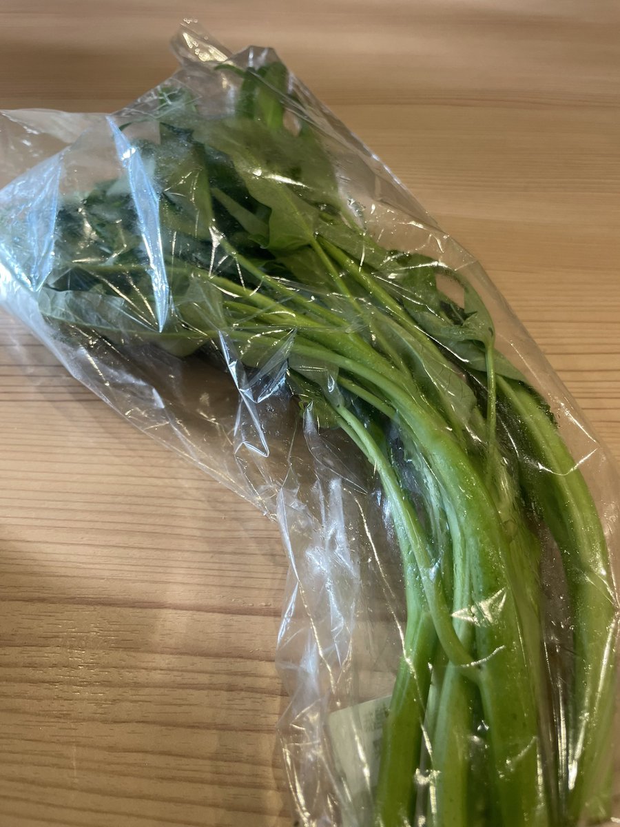 noragotta's tweet photo. 空芯菜だよドラえもん！！

7/9オープンします！ https://t.co/jdJXzO8P31