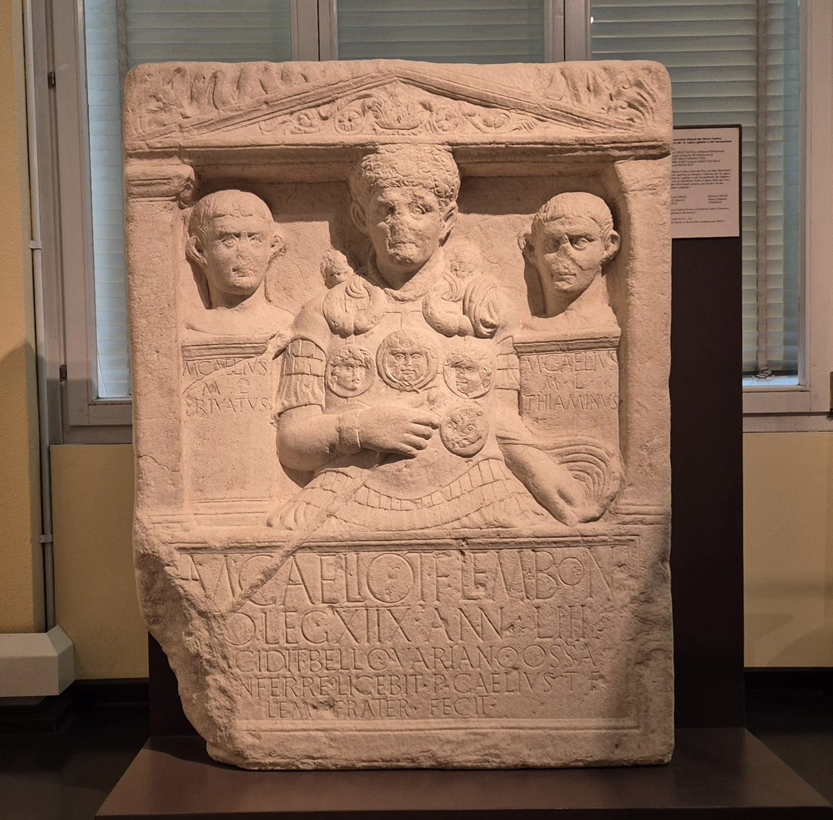 Lippisches Landesmuseum Detmold tweet media