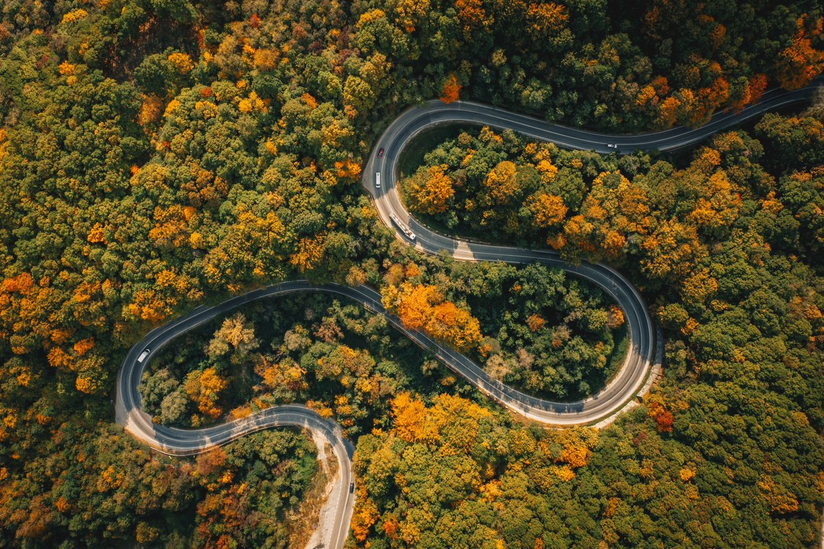 PSOSSafetyCam's tweet photo. Country roads may be scenic, but they can be risky. Sharp bends, narrow lanes  &amp; unexpected hazards demand your full attention. 

Slow down. Stay alert. Respect rural roads.

#KnowYourLimits https://t.co/Z5jvxs02Mc