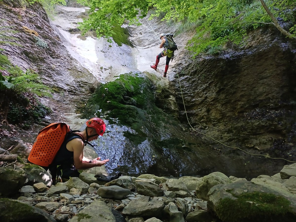 Guardas_na's tweet photo. El pasado mes de junio el #GIAN realizó una inspección del barranco de Arrako en busca de rana pirenaica.

Joan den ekainean, NAETek Arrako sakana ikuskatu zuen Pirinioetako igelaren bil. https://t.co/sZlasTzcQh