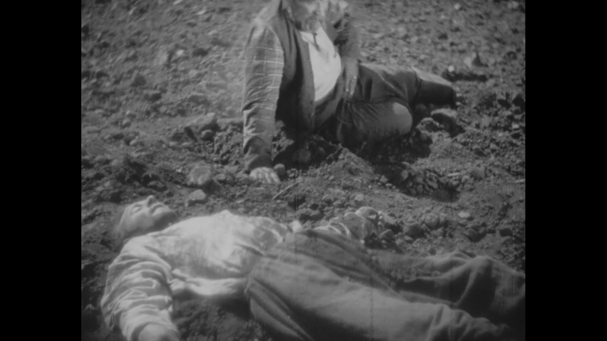 archive of Ukrainian films 🇺🇦 tweet media
