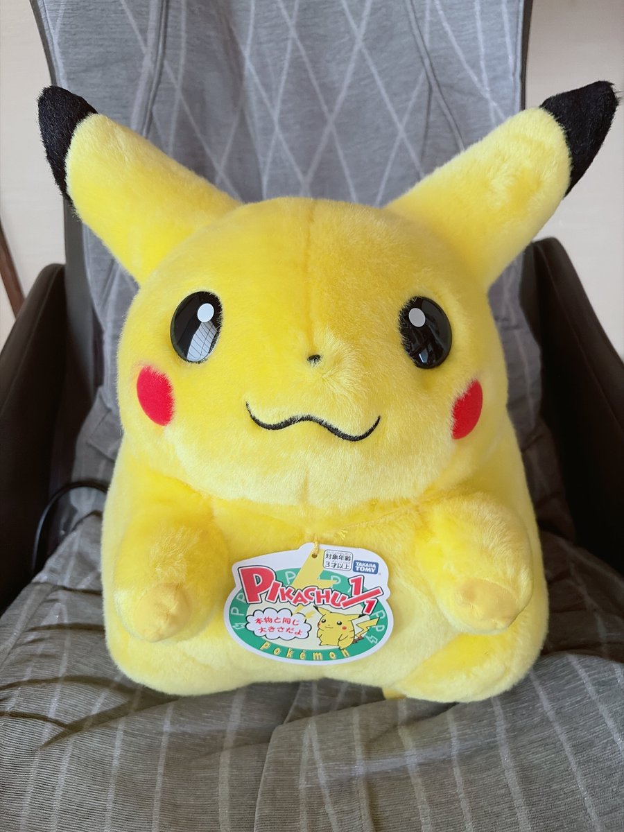 29Tya's tweet photo. 1/1ピカチュウ可愛い〜〜〜🥰🥰🥰🥰 https://t.co/fklGZR8fFA