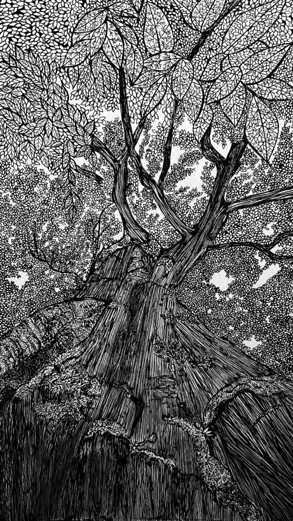 Magic Forest tweet media