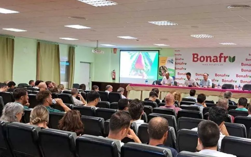 CoopsAgroAND's tweet photo. 🍓🍓Más de 170 profesionales conocen en Bonares los resultados de ensayos de variedades de fresa del @IfapaJunta    

👉Durante la jornada de presentación 

 🌐https://t.co/PovVPDs3t8 https://t.co/N05tQo0UGf