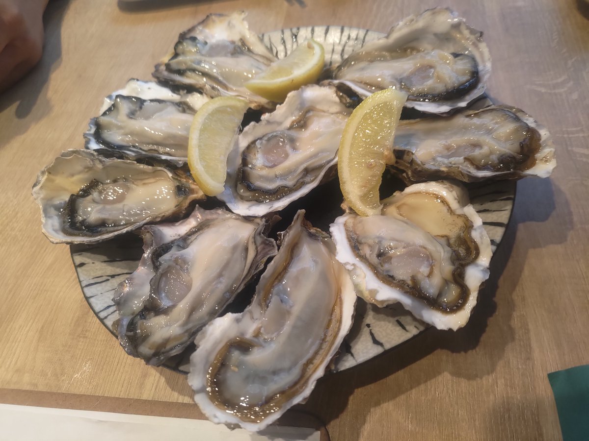 obng2023's tweet photo. @naco_odokami 仙台遠征したとき生牡蠣100円なのにちゃんとした牡蠣が出てきて勝手に牡蠣祭り開催した https://t.co/VZ0RJNAfKL