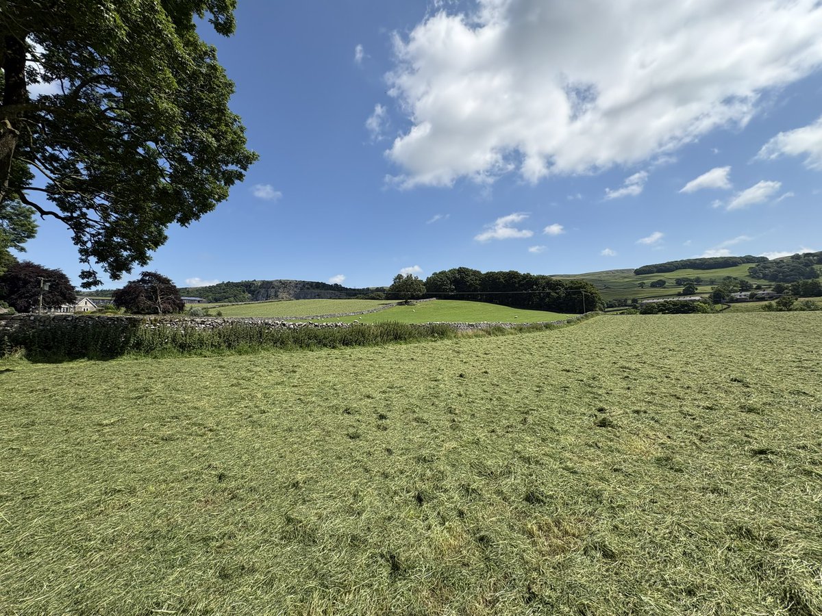 Agronomysilvers's tweet photo. If only @X did smellovision there is nothing better than freshly cut hay and silage ….. ‘I love the smell of grass in the morning’ @AgriiUK #silagetime #haymaking https://t.co/PTjUu3gvRw