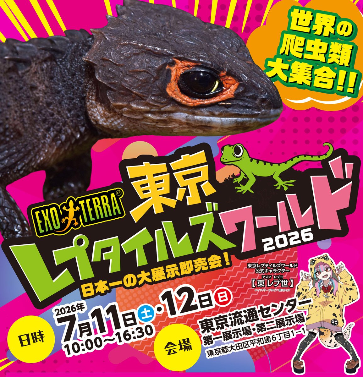 kaiyodo_PR's tweet photo. 【イベント情報📣】

あさって7月11日(土)～12日(日)開催の
#東京レプタイルズワールド に海洋堂が出展します❣
https://t.co/MPdjVCzqQJ

物販では海洋堂塗装師/造形師 古田悟郎の
爬虫類がズラリ✨

Kaiyodo Art Galleryの一点モノや
その他 海洋堂商品を販売します‼

#東レプ #爬虫類 #トウレプ #海洋堂 #KaiyodoArtGallery