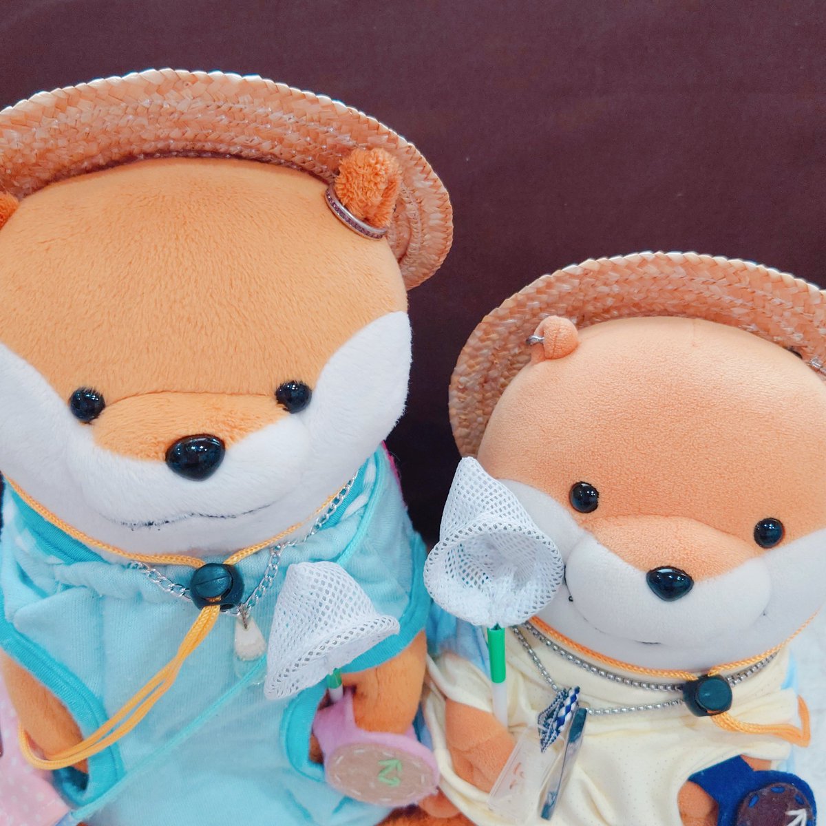 _6u6_cherry's tweet photo. ぬんざぶろー「(ドン！)キタだぬ⋯」

もにゅん「(ドドン！)キタぬ⋯」

な つ や す み 〜 ！ ！！ ！

ぃぁ⋯まだ早いわよ、休みって。
夏はわからんでもないけど

夏スタイルで並べた2人がかわちくてほっこりした♡(*´ω｀*)

#可愛い嘘のカワウソ https://t.co/kyuZEI0Ng1